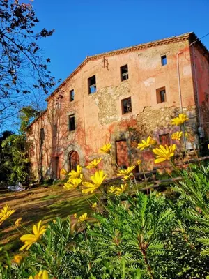 an old brick building with yellow flowers in front of it at Hidden Garden Haven for 7 People in Vallromanas