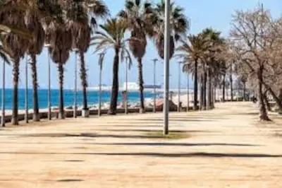 a sidewalk with palm trees on the beach at Apartment 3 minutes from the beach and train station on foot in Canet de Mar