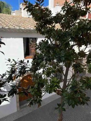 a tree in front of a white building with a door at Have Fun Apartment in Cubelles in Cubelles