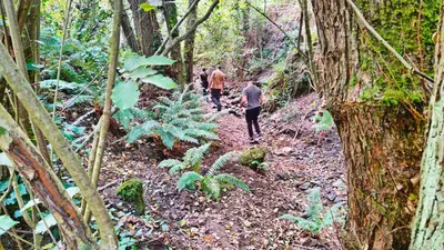 three people walking down a trail in the woods at Casa Blanca in Sant Cebrià de Vallalta