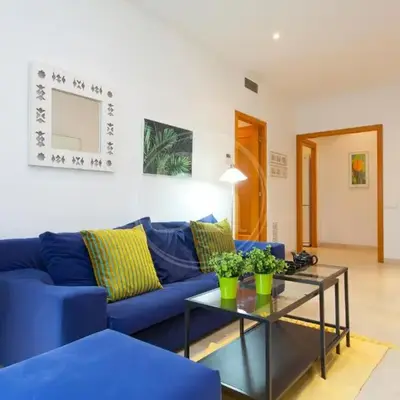 Nice apartment in Monumental