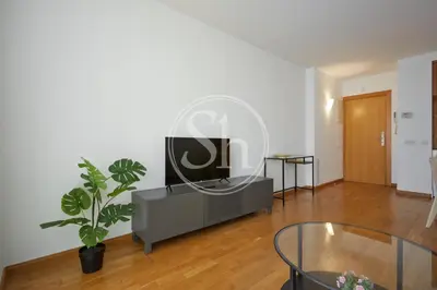 a living room with a tv and a potted plant at Bonito alojamiento cerca de Estación de Sants in Barcelona