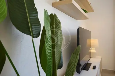 a plant sitting on a table next to a wall at Luminescent Valencia Apartment in Barcelona