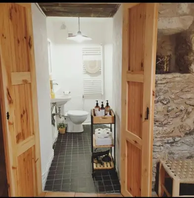 a bathroom with a toilet and a sink at La Julita in San Quírico Safaja
