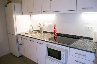a white kitchen with a sink and a microwave at Barcelona Classic Plaza Real Apartments in Barcelona