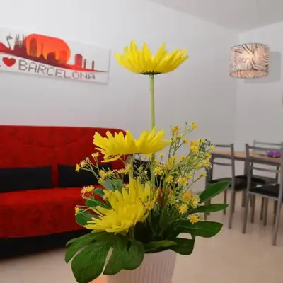 Apartamentos Navas 2