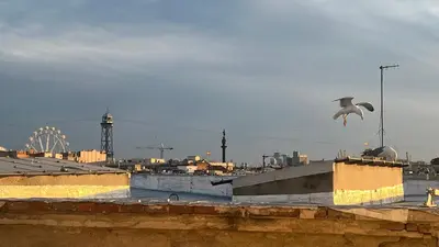 a bird flying over a building with a city in the background at Atico Central con Terraza in Barcelona