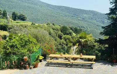 a wooden picnic table with a view of a mountain at Casa Rural CAL PAGÉS Montseny in Montseny