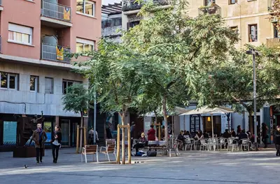 a tree in the middle of a city street at Sweett - Atic Gracia in Barcelona
