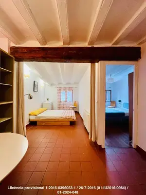 a large room with a bed and a bathroom at Encanto Gótico Histórico Cerca de Las Ramblas in Barcelona