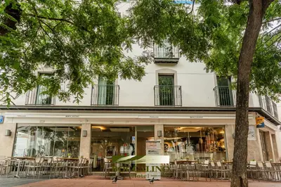 a table and two chairs and plants in a room at Hotel Boccalino Sitges in Sitges