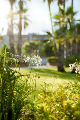 a field of flowers with a yard in the background at Càmping Bellsol in Pineda de Mar