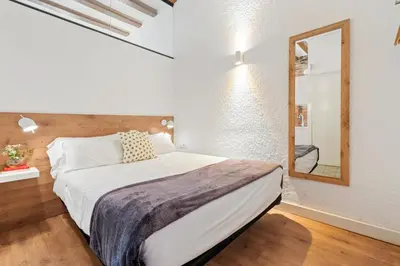 a bedroom with a large bed and a mirror at Flateli Borrell in Barcelona