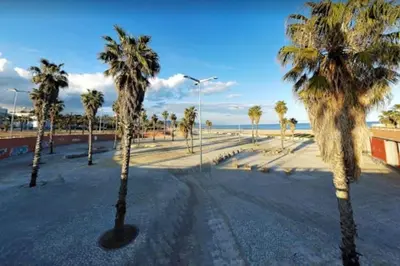 a row of palm trees in a park next to the beach at AMAZING FLAT IN CLASSIC SAILING BOAT in BARCELONA in Barcelona