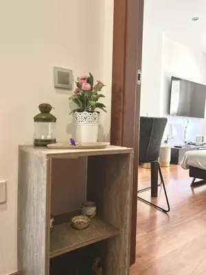 a table with a potted plant on it in a living room at Reina apartment in Sitges in Sitges