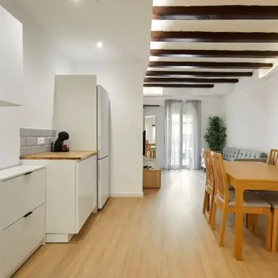 17 Nice apartment next to El Molino