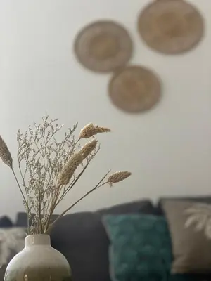 a view from a window of a staircase with a potted plant at Apartment in Premia de Dalt