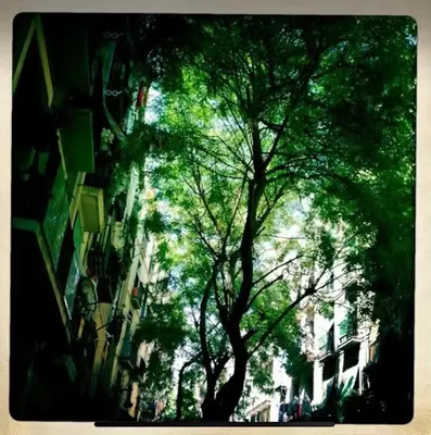 a tree in the middle of a street with buildings at Outdoor Bathtub! 360 Rooftop with Chill Out and Amazing Views! in Barcelona