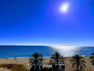 a beach with palm trees in front of the ocean at Vilador Barcelona Beach Hotel in Masnou