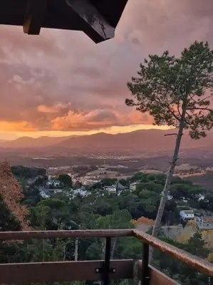 a view of a city with a tree and the sunset at L'AMAGATALL DEL MONTNEGRE in Villalba Saserra
