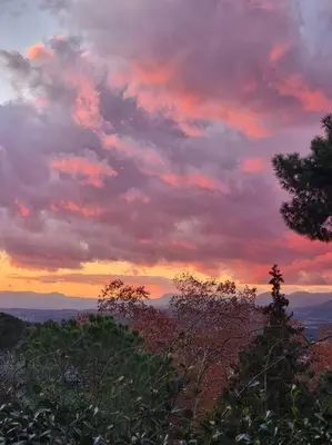 a cloudy sky at sunset with trees in the foreground at L'AMAGATALL DEL MONTNEGRE in Villalba Saserra