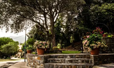 a garden with potted plants on a stone wall at Hostal Montserrat in Montseny