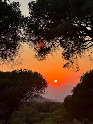 a sunset seen through the branches of trees at INSPIRA MAISON Montaña y Mar in Teià