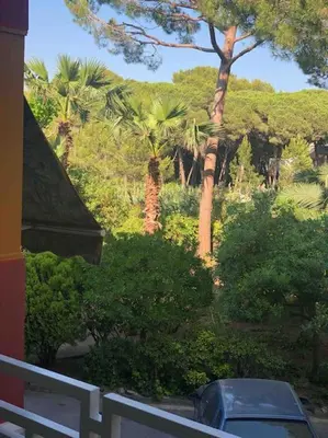 a view of a garden with palm trees and bushes at Cozy apartment close to the beach for 2 persons in Gavà