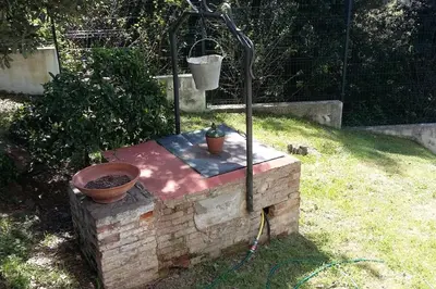 a bird bath with two plants on top of it at Tranquilidad cerca de Barcelona in Molins de Rei