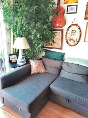 a couch sitting in a living room with a plant at Habitación doble exterior en piso compartido in Sant Cugat del Vallès