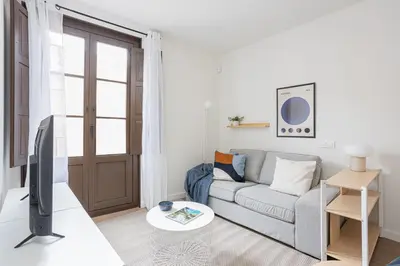 a living room with a couch and a tv at Modern 1 bedroom apartments near Parallel in Barcelona