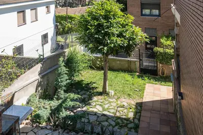 a small tree in a yard next to a building at Elis house Piscina Privada Villa Mediterránea in Castelldefels