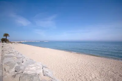 a sandy beach with a palm tree and the ocean at Romantisches Fischerhaus am Meer, 200 m vom Strand, Barcelona in Premiá de Mar