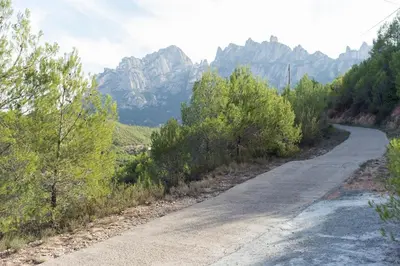 a dirt road with trees and mountains in the background at Climbers Cabin in Marganell