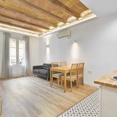 Ro Lively and bright apartment next to Blai st