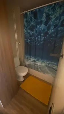 a bathroom with a toilet and a painting on the wall at LEB Apartments in Pineda de Mar