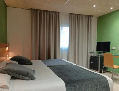 a bedroom with a large bed and a television at Hotel Iris in Granollers