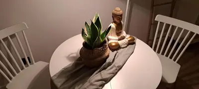 a table with a plant sitting on top of it at SUITE Bougainvillea in Lliçà d'Amunt