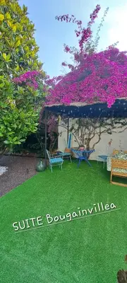 a sign that reads suitebuoting in a yard with flowers at SUITE Bougainvillea in Lliçà d'Amunt