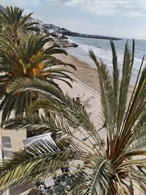 a view of a beach with palm trees and the ocean at Port Alegre Mar in Sitges