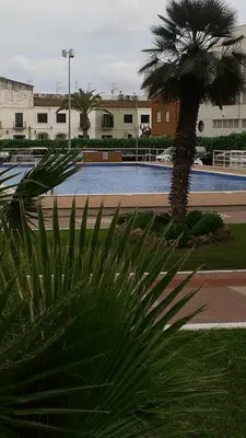 a palm tree in front of a parking lot at Sea Views Penthouse in Sitges