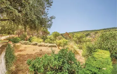 a garden with trees and bushes in a field at Nice Home In Arenys De Munt in Arenys de Munt
