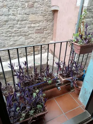 a bunch of plants in pots on a balcony at Ca la Fiona in Monistrol