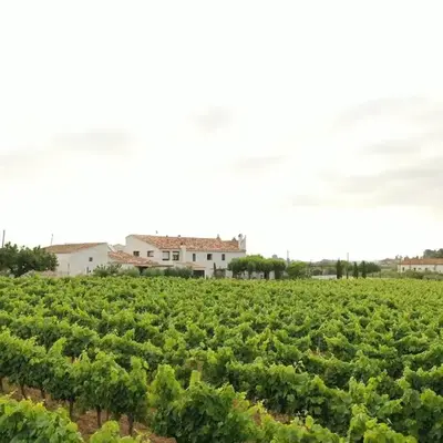 Soul Farm Mas els Igols