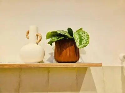 a shelf with a plant and a vase on it at Stunning APT WiFi 6 min Sagrada Familia 2BR in Barcelona