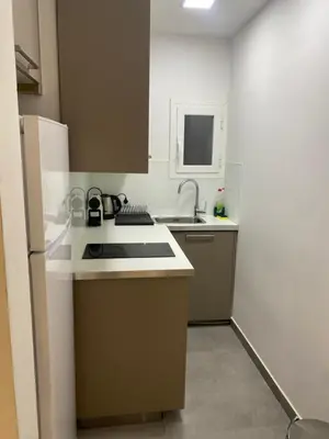 a small kitchen with a sink and a refrigerator at Apartamento Barcelona in Barcelona