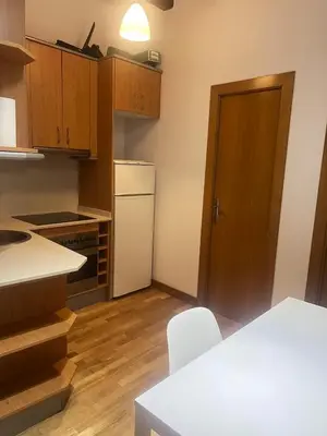 a kitchen with a white refrigerator and wooden cabinets at Flat in centre of Barcelona in Barcelona