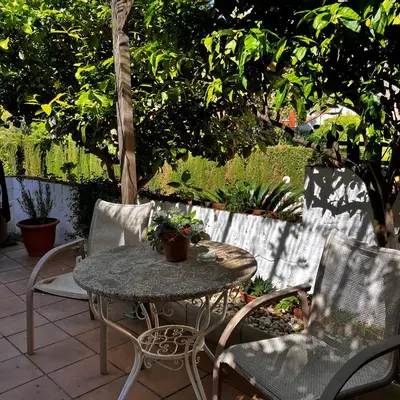 a patio with a table and chairs and trees at Estudio limonero en Sant Cebriá de Vallalta 20' playa in Sant Cebrià de Vallalta