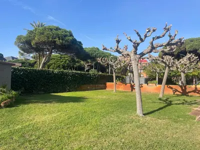 a tree in the middle of a yard at Atico frente al mar! in Gavà