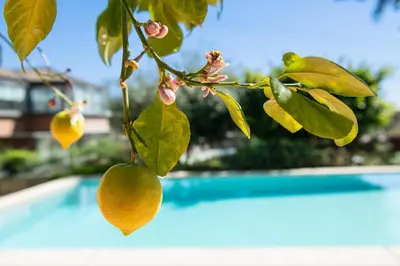 Gallery image of Villa espectacular privada con piscina y AACC in Castelldefels